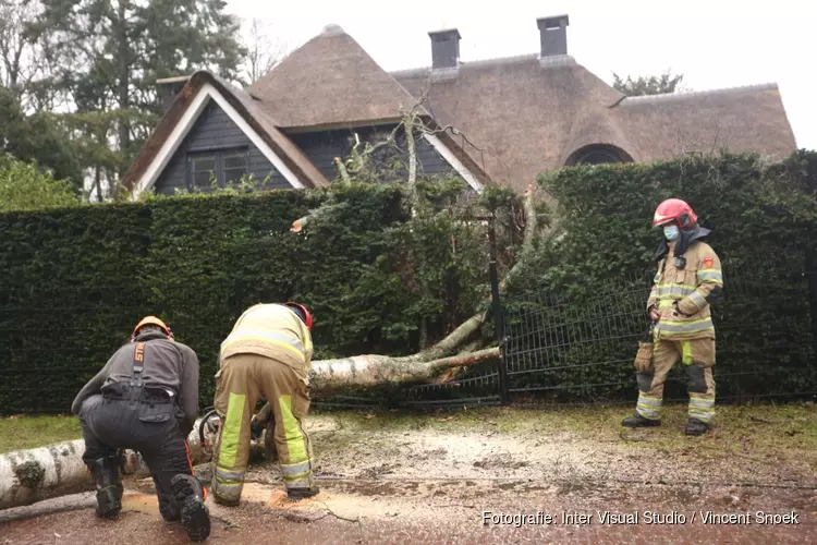 Stormschade door boom in Blaricum