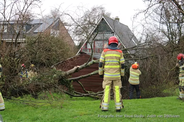 Boom belandt op schuurtje in Weesp