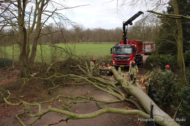 Boom omgewaaid in Huizen