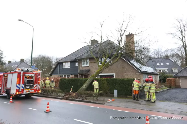 Boom waait om op woning in Huizen