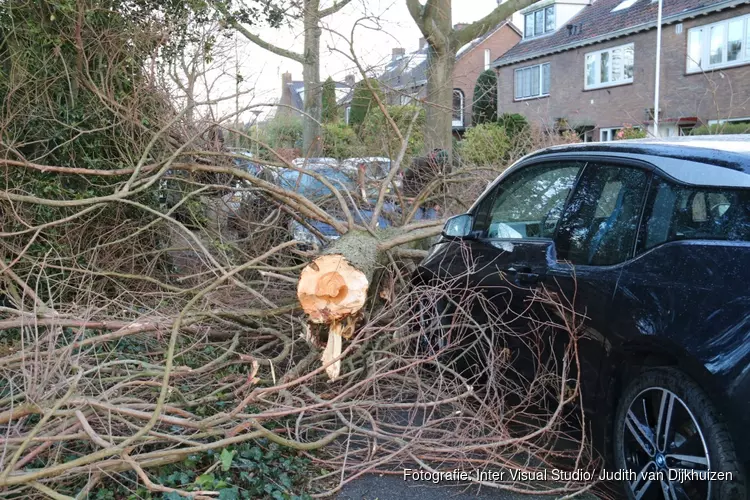 Boom belandt op auto in Naarden