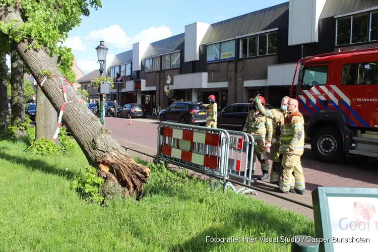 Grote boom omgewaaid langs de Havenstraat in Huizen