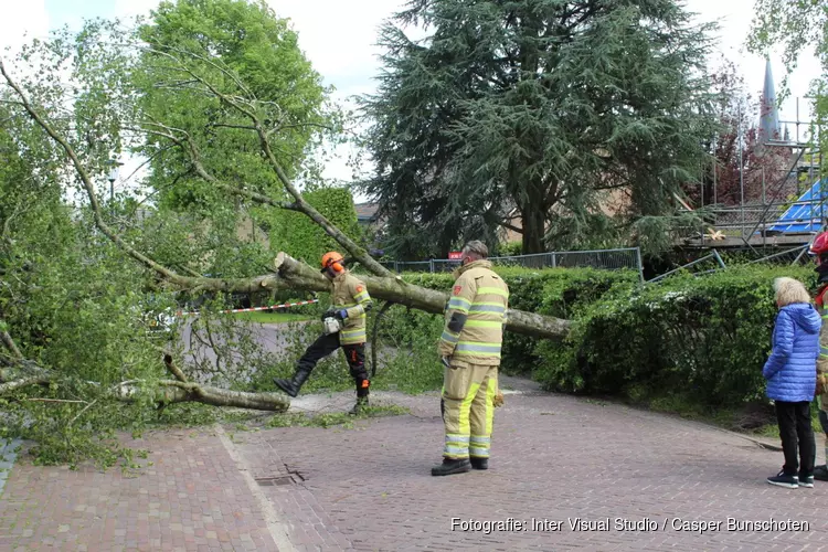 Grote boom omgewaaid in Blaricum