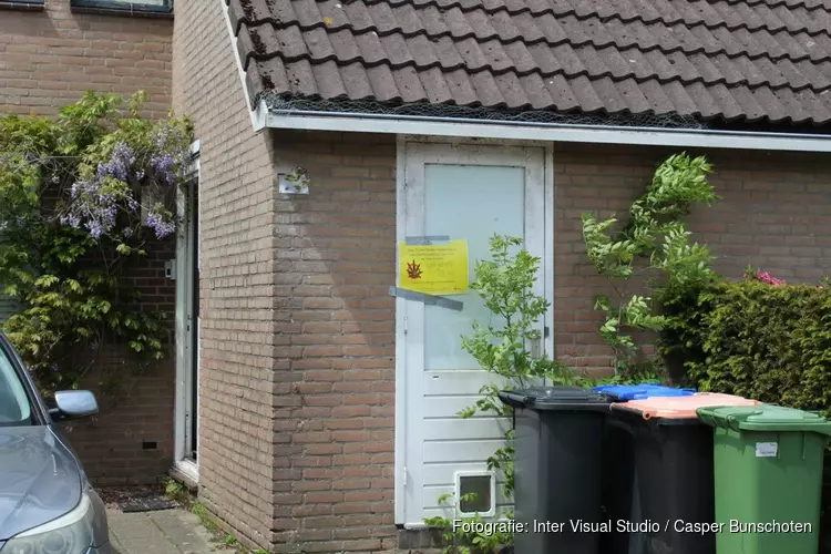 Hennepplantage aangetroffen in woning in Huizen