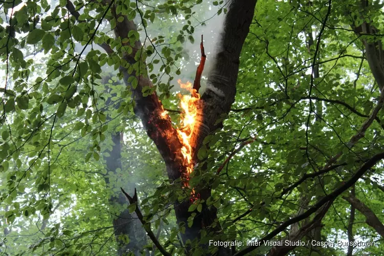 Brandweer voorkomt mogelijke bosbrand in Huizen