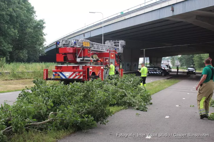 Brandweer snoeit boom uit voorzorg vanwege wind