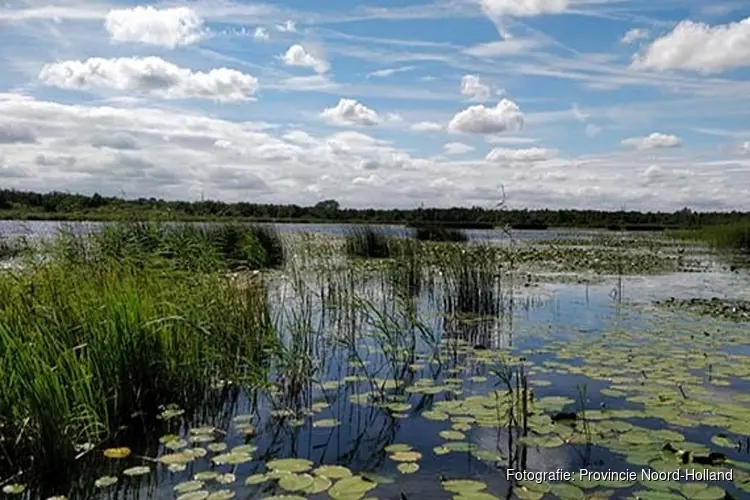 Provincie zet volgende fase in voor Schil Naardermeer