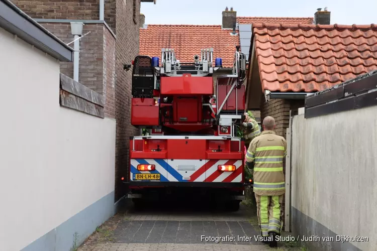 Stuurmanskunsten om 14 weken oud katje