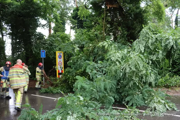 Grote tak breekt uit boom in Bussum