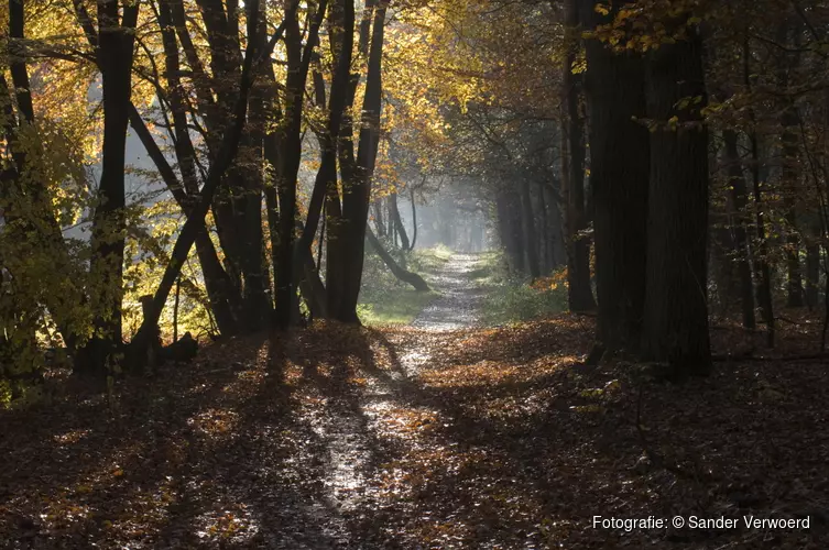 Ontdek de herfst in het Corversbos