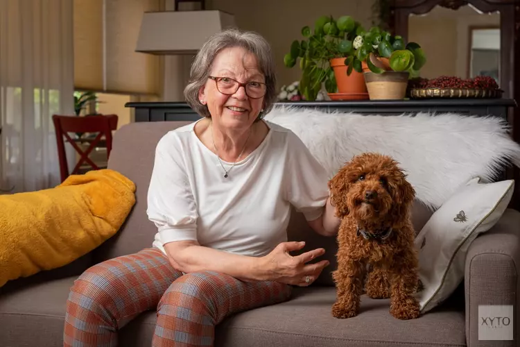 Een oppashond voor senioren: gezellig èn gezond  Stichting OOPOEH zoekt senioren en honden in Hilversum