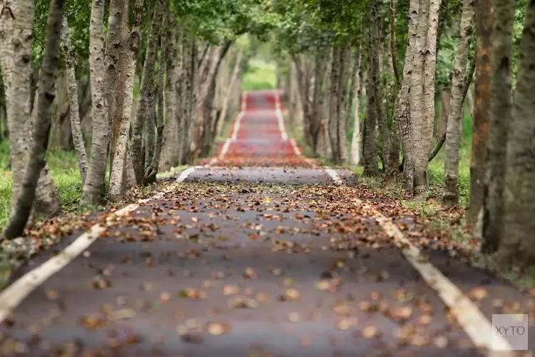 Alle facetten van herfst komen aan bod deze week