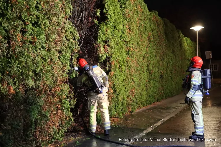 Voor zoveelste keer conifeer in brand in Naarden