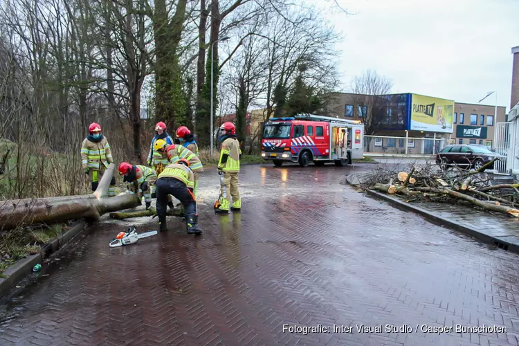 Bomen omgewaaid in Naarden