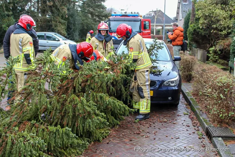 Meerdere bomen omgewaaid in Naarden, Laren en Huizen