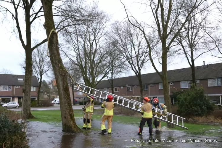 Waterleiding gesprongen door vallende boom in Huizen