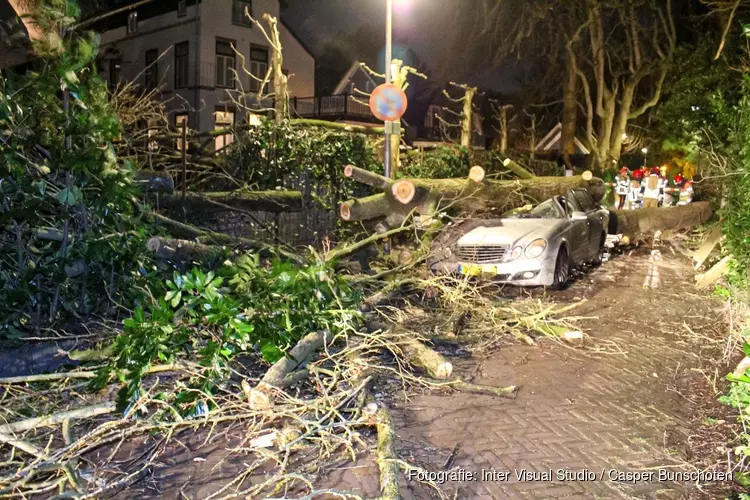 Boom op rijdende auto in Laren