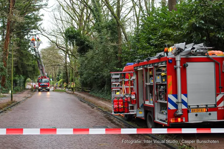 Boom dreigt om te vallen in Blaricum, brandweer ter plaatse