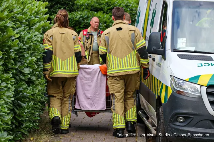 Gewonde vos gered in achtertuin van woning in Naarden