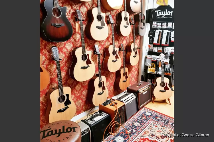 Taylor akoestische gitaren bij Gooise-Gitaren.nl in Bussum