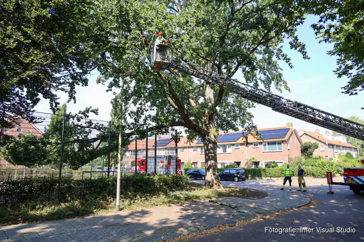 Brandweer Bussum verwijdert grote tak boven voetbalveld