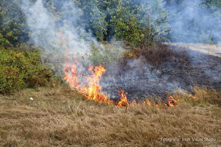 Kinderen steken 200 vierkante meter gras en heide in brand in Huizen