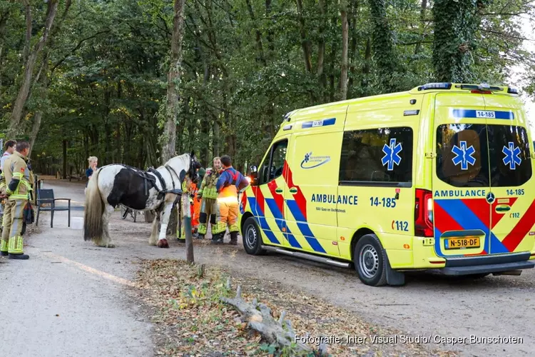 Paard slaat op hol,ruiter en paard gewond in Blaricum