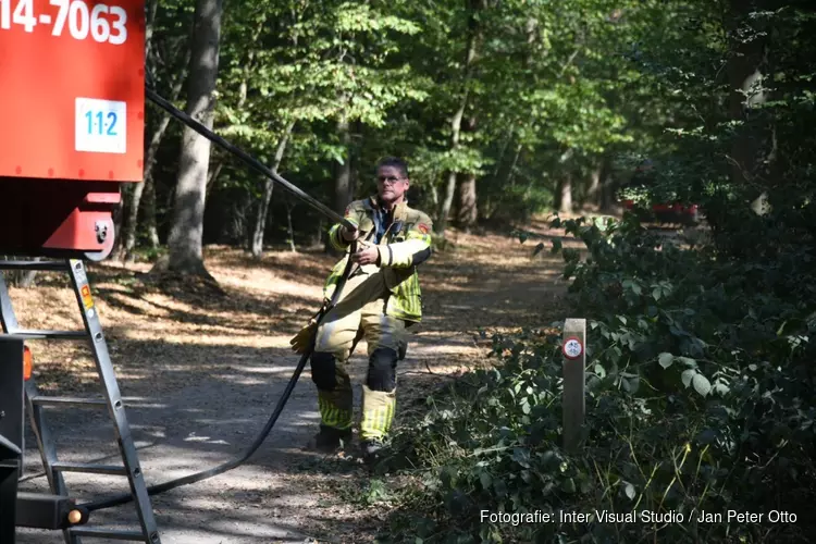 Kleine bosbrand in Hilversum