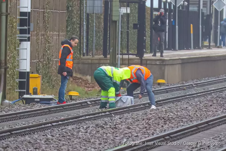 Vos zwaargewond na aanrijding met trein in Bussum