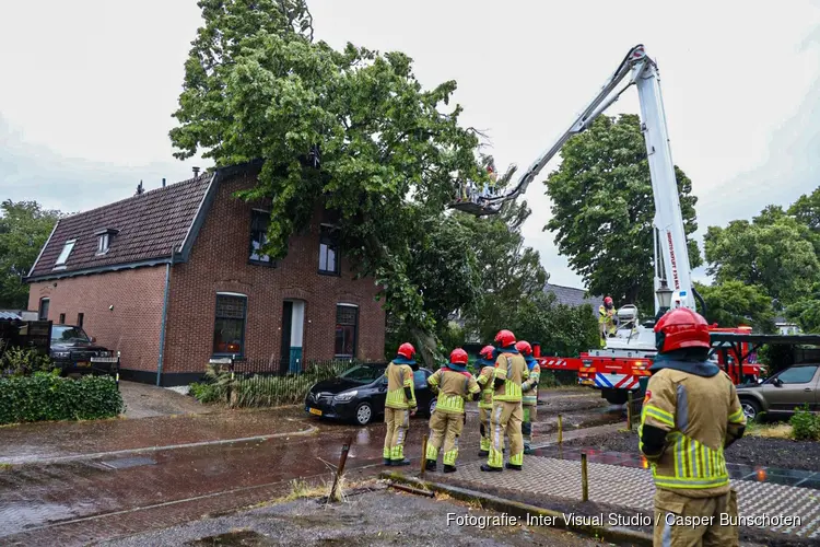 Boom omgewaaid tegen woning in Huizen