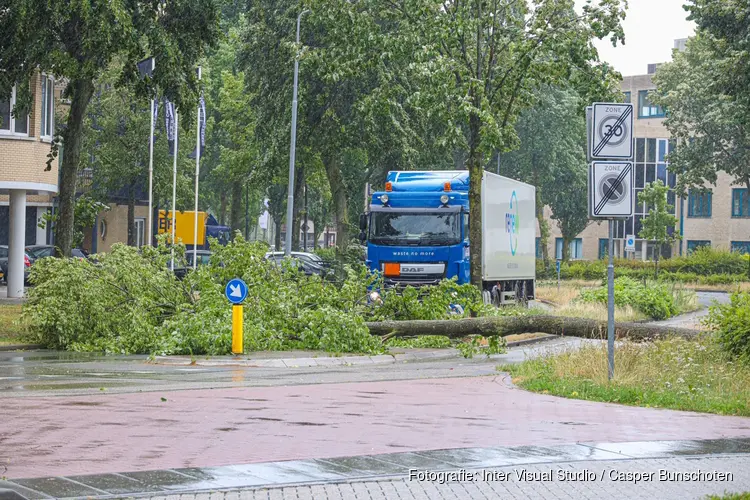 Boom omgewaaid, weg geblokkeerd in Huizen