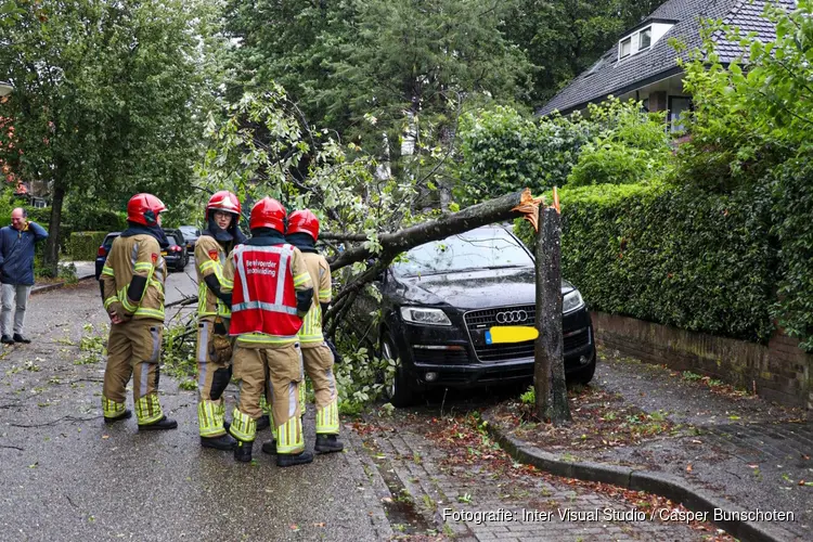 Kleine boom omgewaaid in Bussum