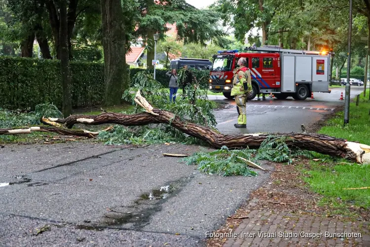 Brandweer Laren rukt uit voor grote tak op de weg