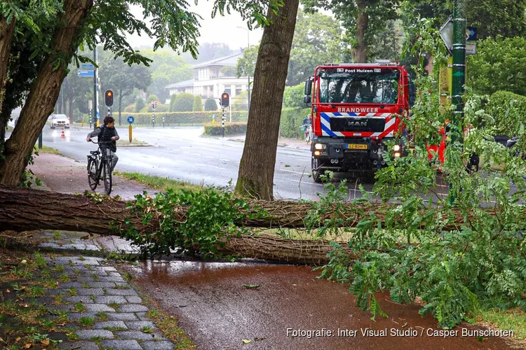 Boom omgewaaid in Huizen