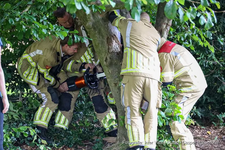 Jongen zit vast in boom in Huizen