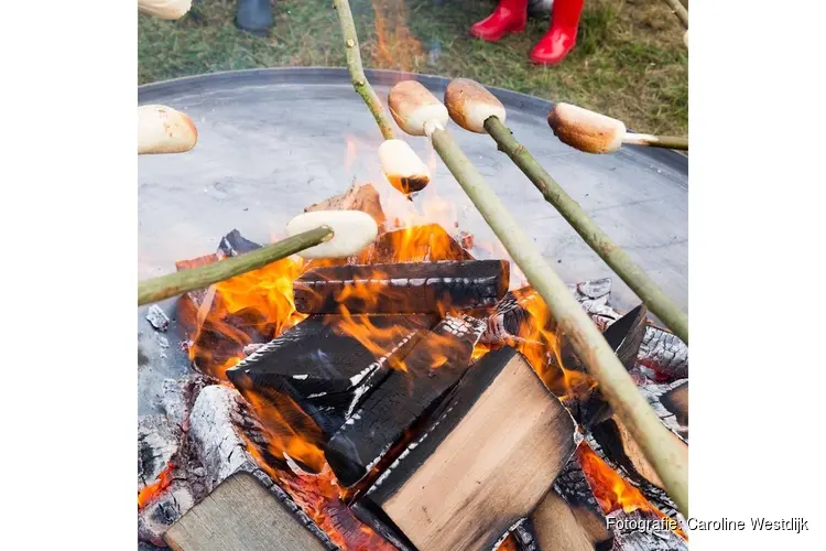 OERRR Struinen en broodje bakken met de boswachter