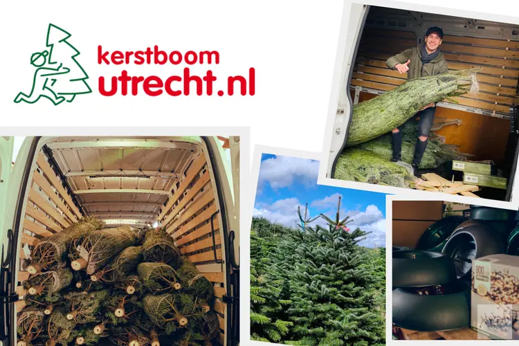 Kerstboom Kopen in ’t Gooi? Kies voor het Gemak van Kerstboom Utrecht