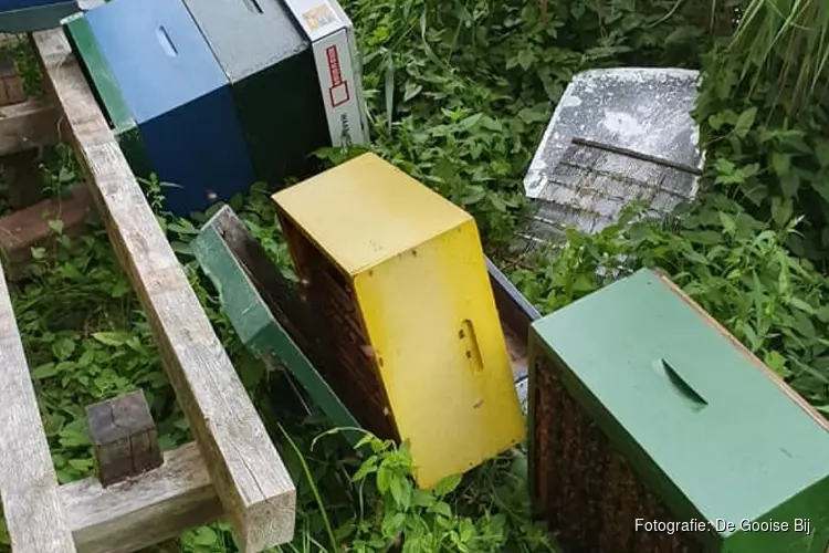 Vandalen gooien bijenkasten om in Hilversum: "Hoop dat ze flink gestoken zijn"