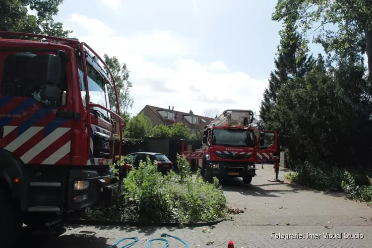 Veel afgebroken bomen en takken door storm