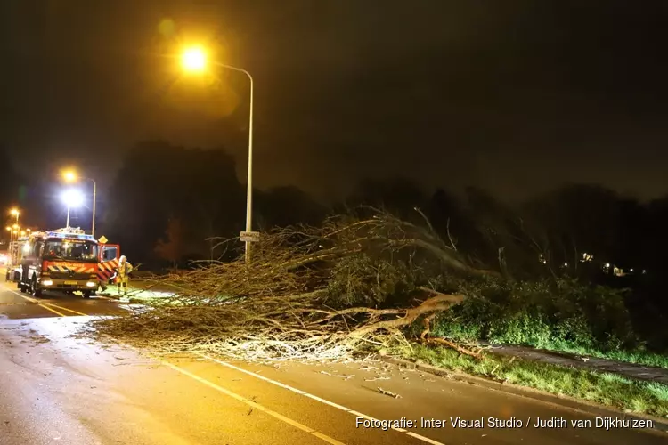 Grote omgevallen boom zorgt voor hinder in Hilversumse Meent