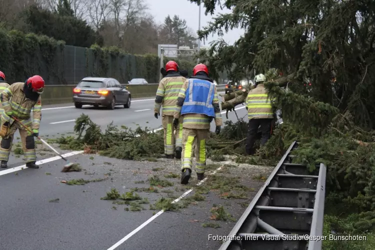 Boom komt terecht op A1