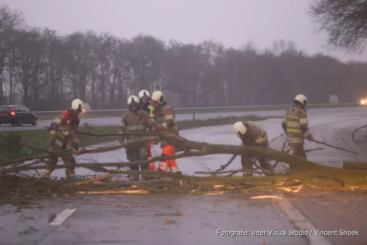 Boom komt terecht op A27