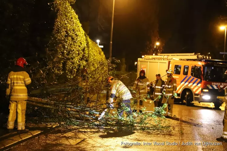 Boom blokkeert weg in Bussum