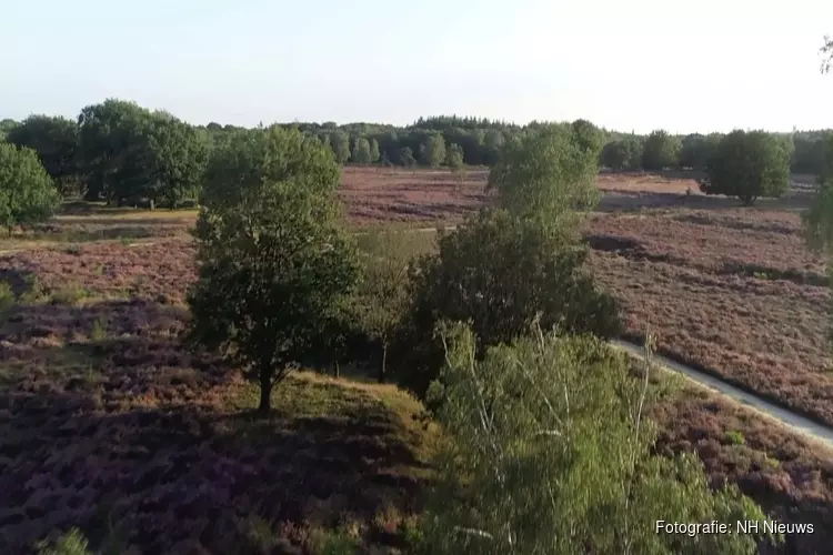 Je mag komend weekend gewoon nog wandelen door de Gooise natuur: "Maar hou afstand"