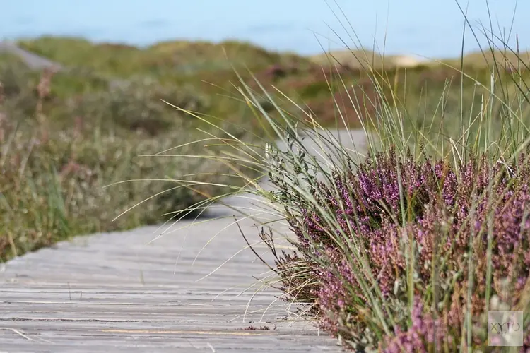 Rook- en stookverbod vanwege droogte