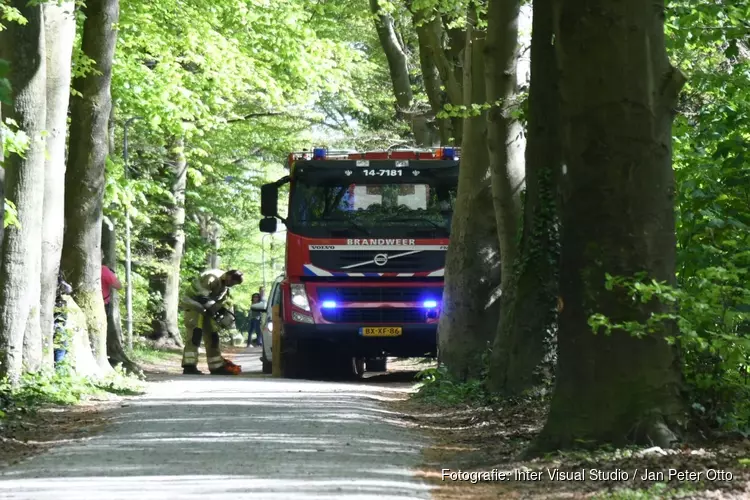 Bosbrand blijkt kampvuur