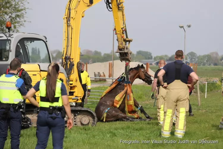 Brandweer redt paard uit benarde situatie in Weesp