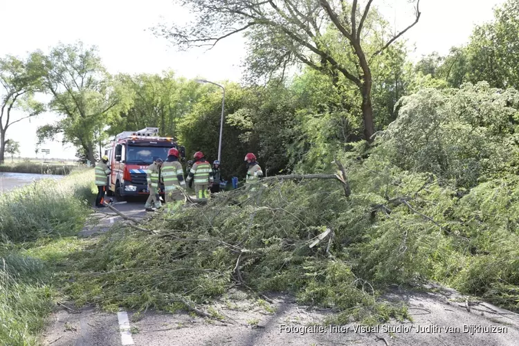 Omgewaaide boom zorgt voor overlast in Weesp