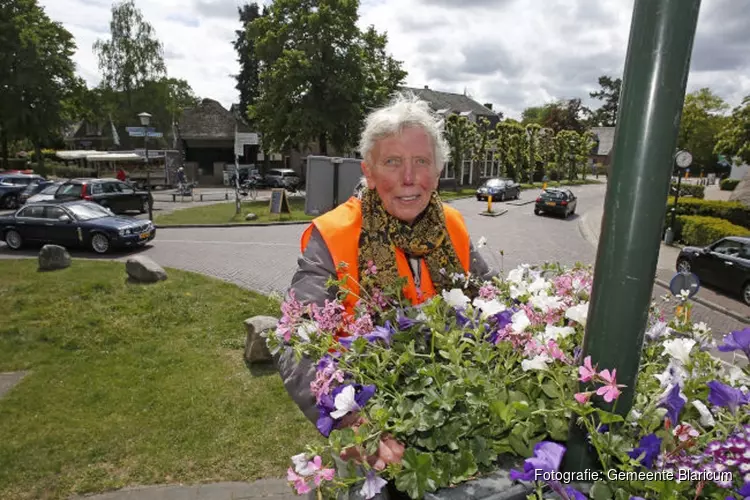 Het zoemmmt, bloeit en groeit in Blaricum