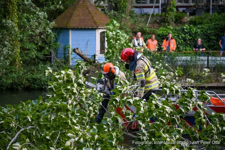 Grote boom in Hilversum waait om door harde wind